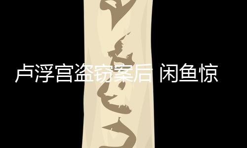 物窃案赃宫盗客闲鱼后 应卢浮服回惊现建议举报